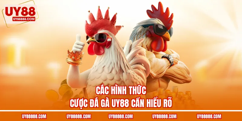 Các hình thức cược đá gà UY88 cần hiểu rõ