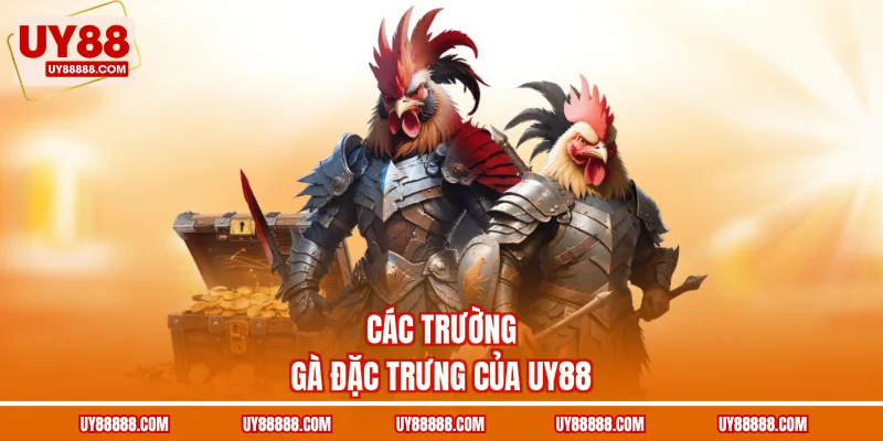 Các trường gà đặc trưng của UY88